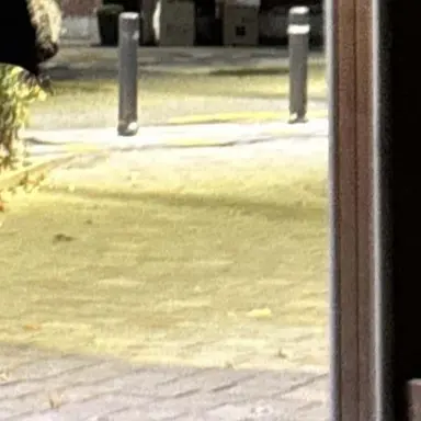 Profile image of 지성