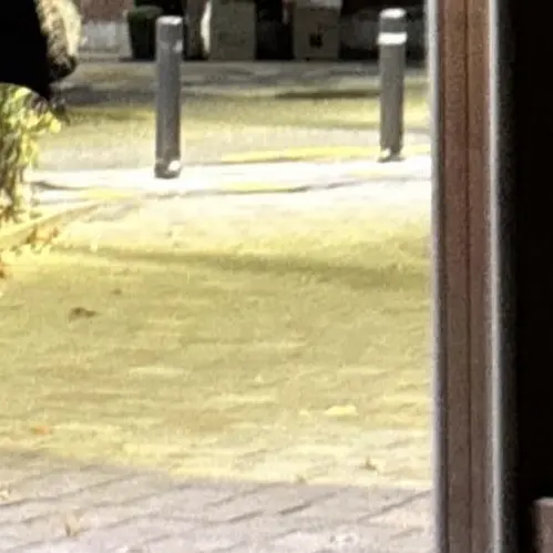 Hanadlsat0914의 한지성