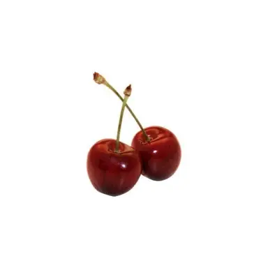 Profile image of ユーキ