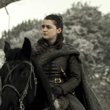 Profile image of Arya Stark