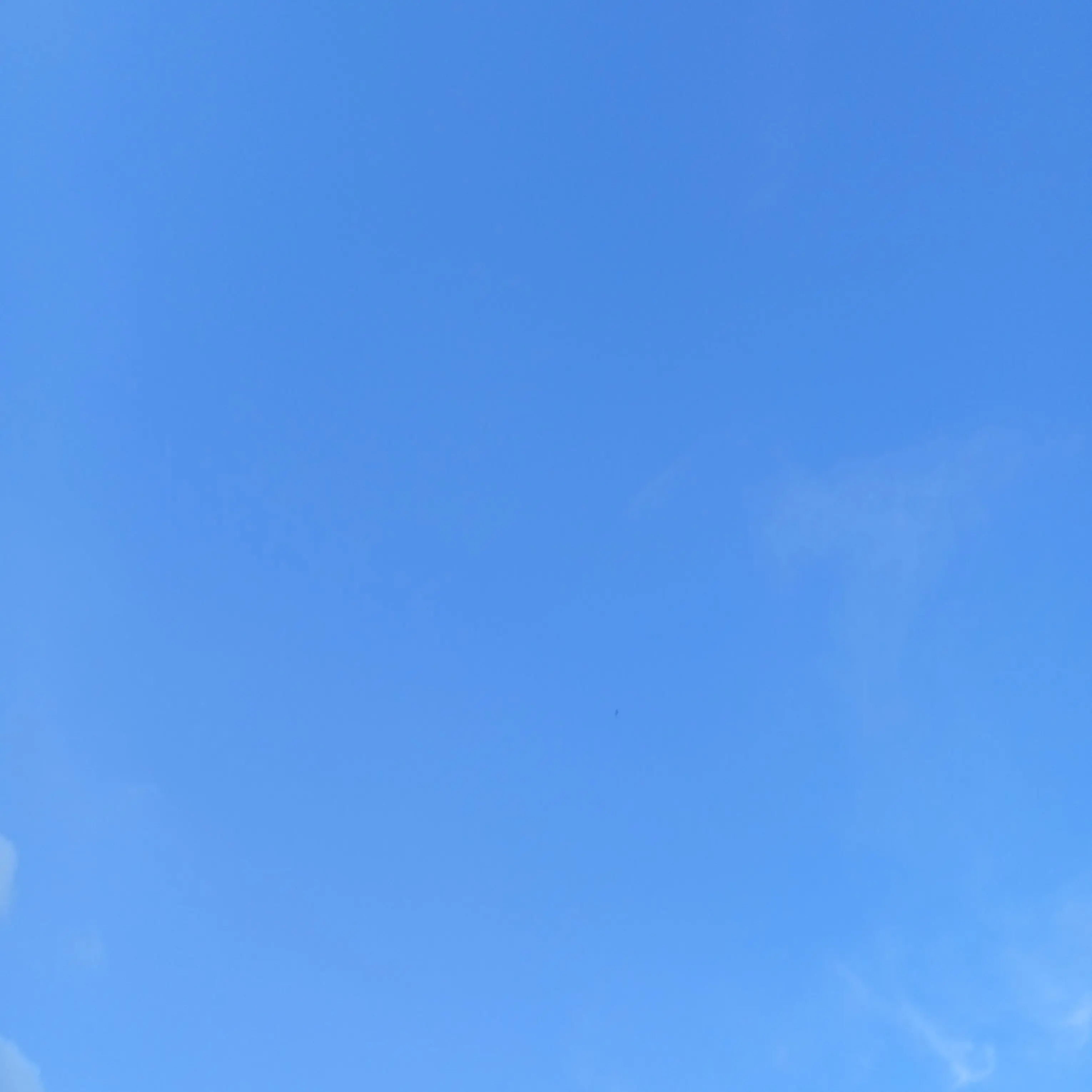 PrimFocus9642의 이창섭 키우기