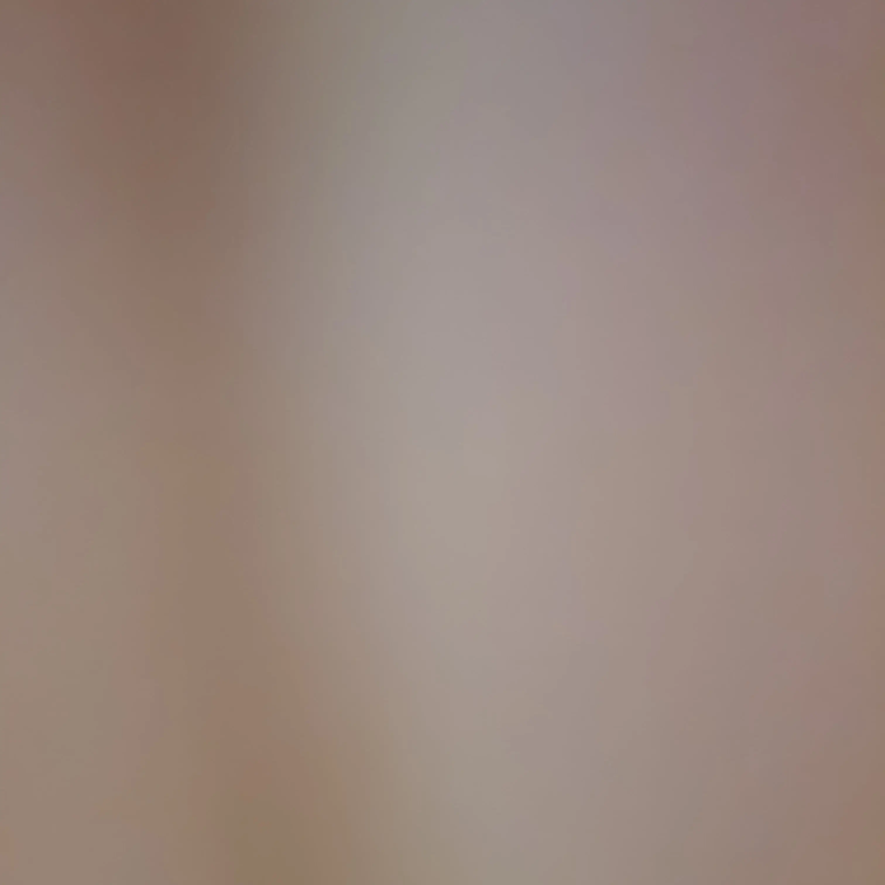 WhiteTapir1038의 공지사항