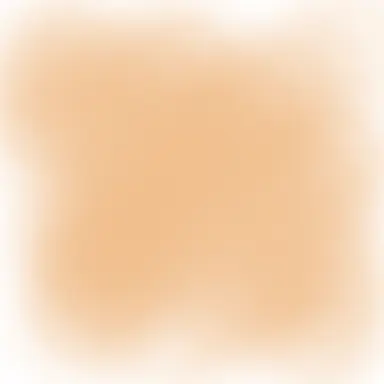 Profile image of 제미니