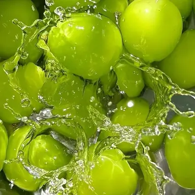Profile image of 공룡