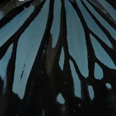 Profile image of 아루루