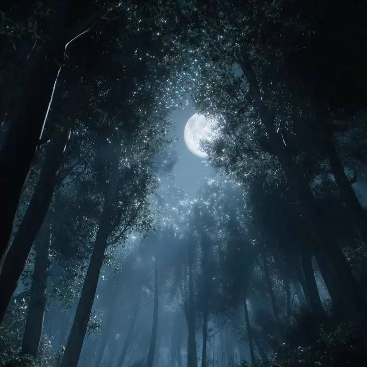 duejfqdl의 이세진