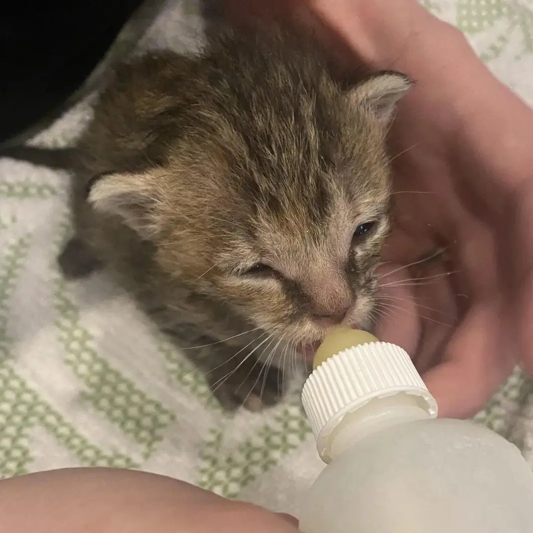 SmokySkirt2969의 When Love Feels Heavy