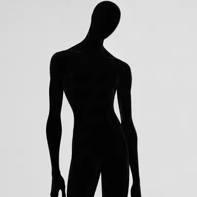 Profile image of ドッペルゲンガー