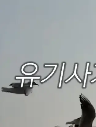 PomPomPurine의 평학이날좋아한다?!