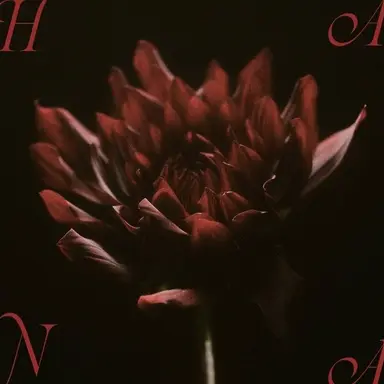 Profile image of HANA Members
