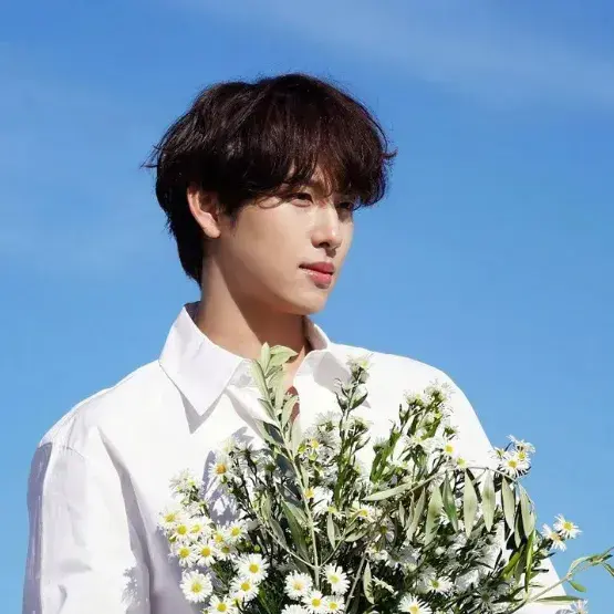 CurvedPlain7398의 Yim Siwan