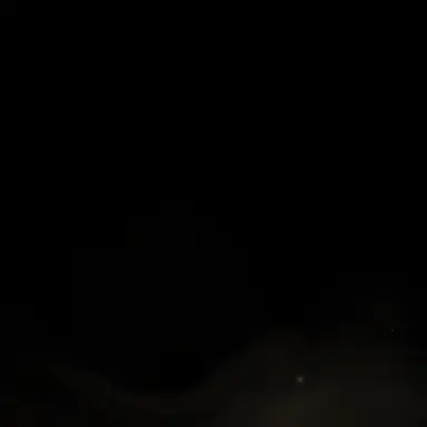 Profile image of ナチス