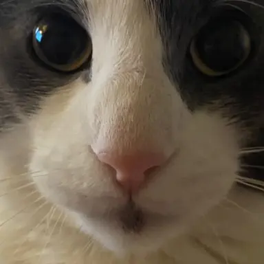 Profile image of Emira