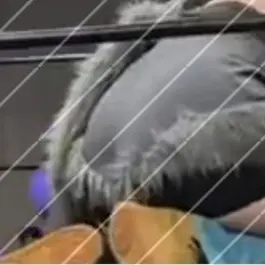 Profile image of 예니