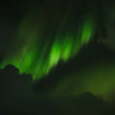 Profile image of 카푸트