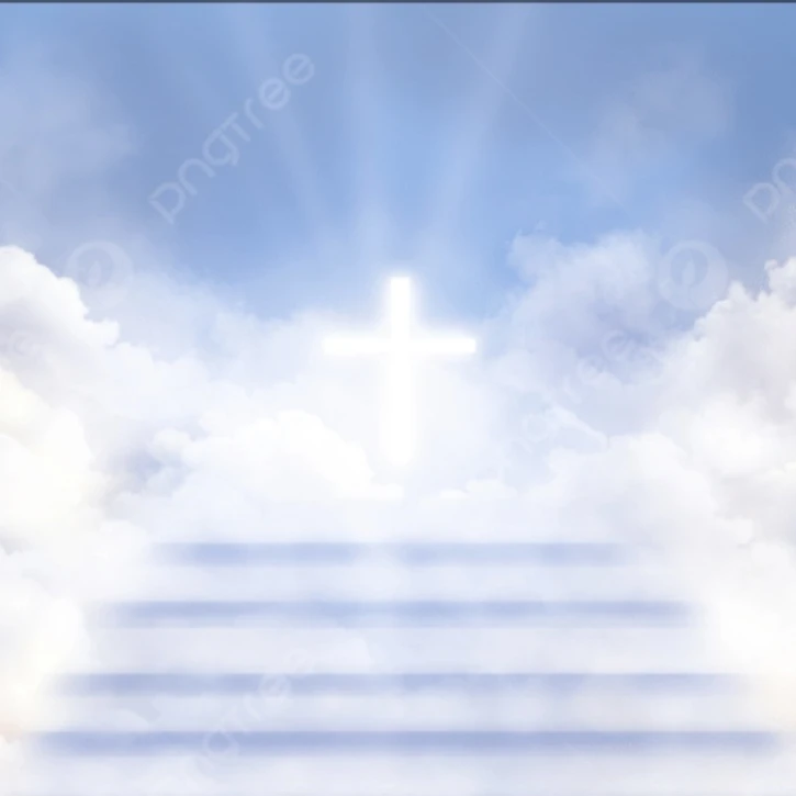 신