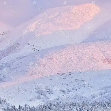 Profile image of 이예린