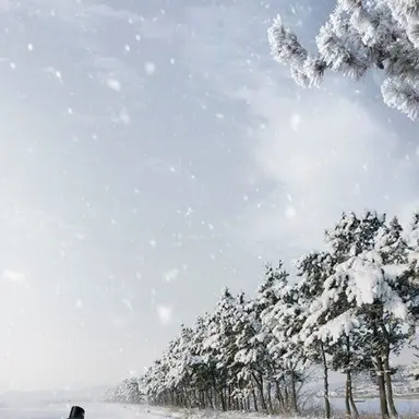 Profile image of 이주호