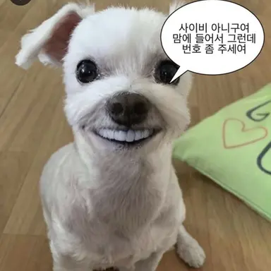 Profile image of 여우