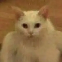 Profile image of 여우
