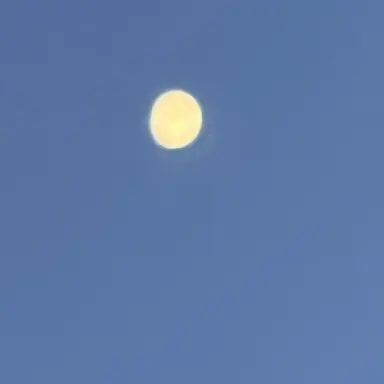 Profile image of 이솜
