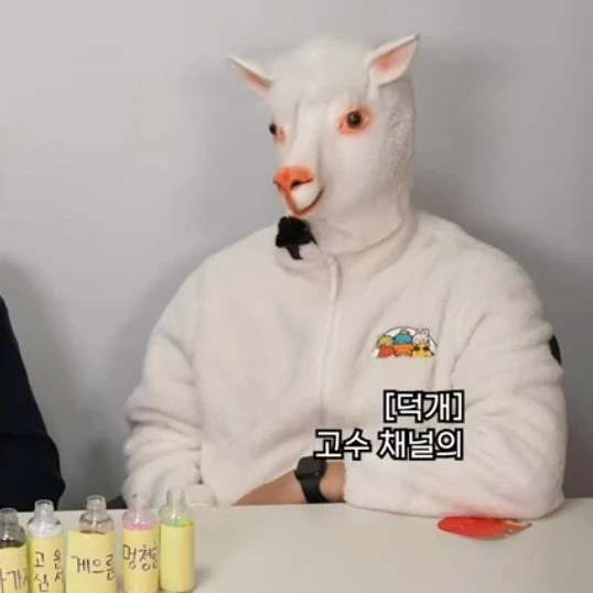 알파카