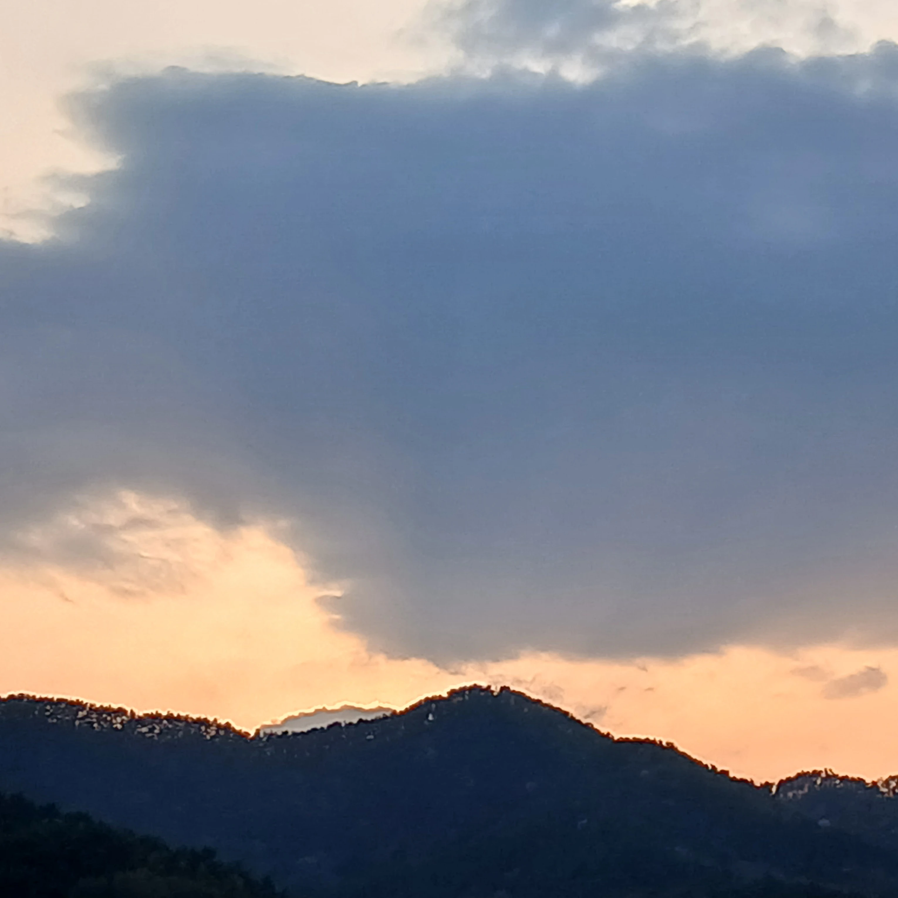 김이한