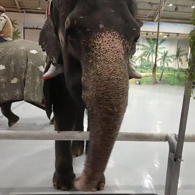 Profile image of 선생님