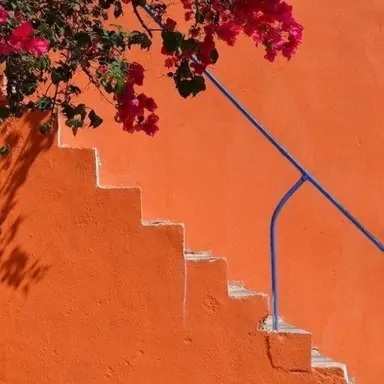 Profile image of 니노