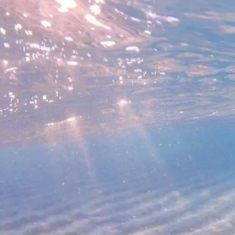 ScaredOpah5917의 악녀라니..?스코시즘