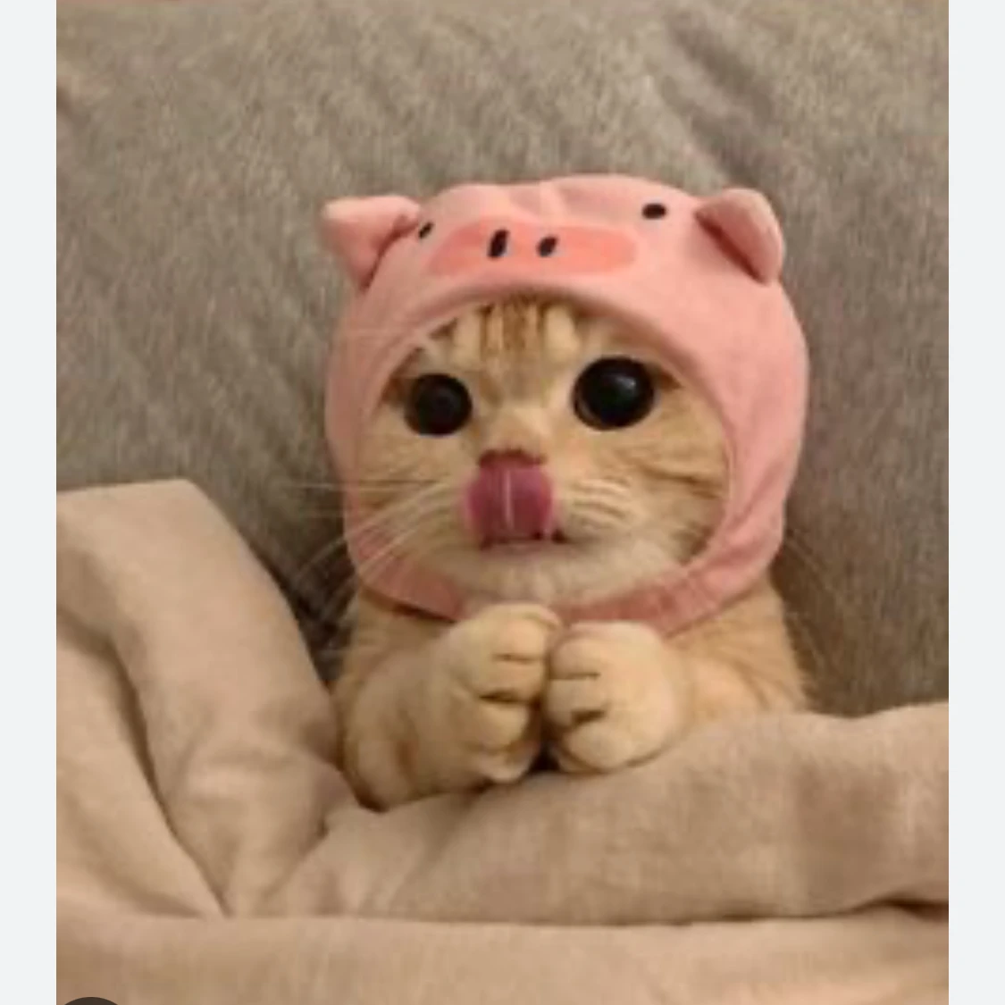 유기
