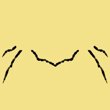 Profile image of Stanley