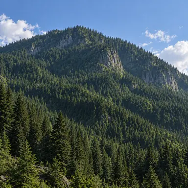 Profile image of Surrounding Terrain