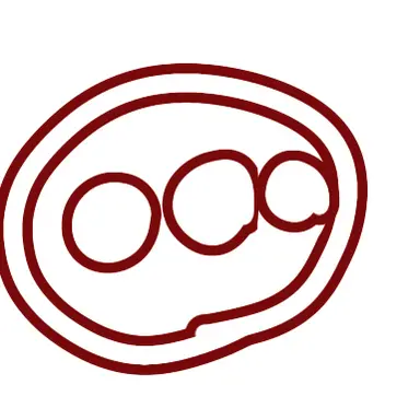 Profile image of カンヒュたち