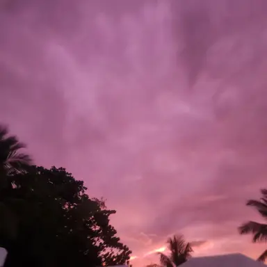 Profile image of 라더