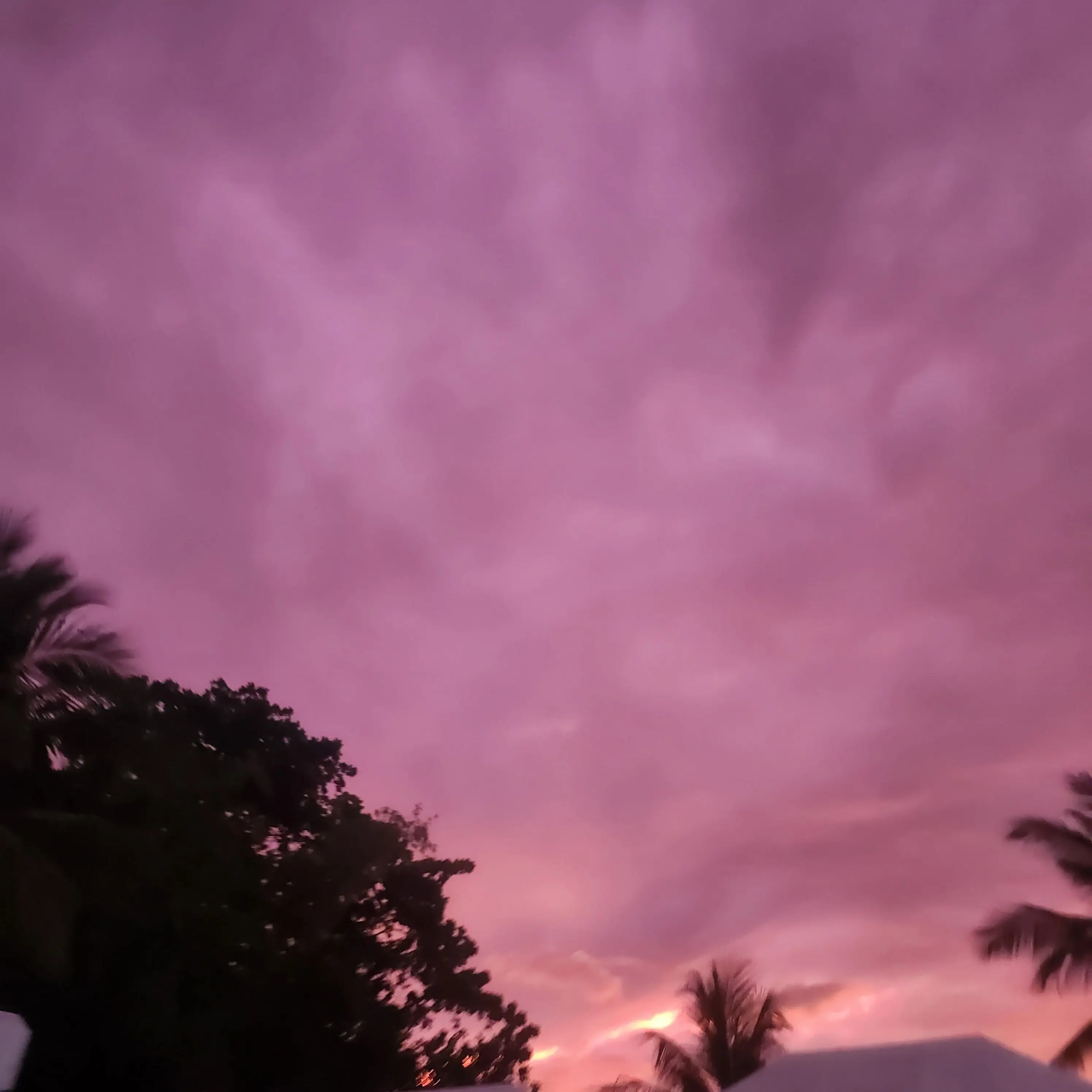 chochou의 뒤바뀐 아이