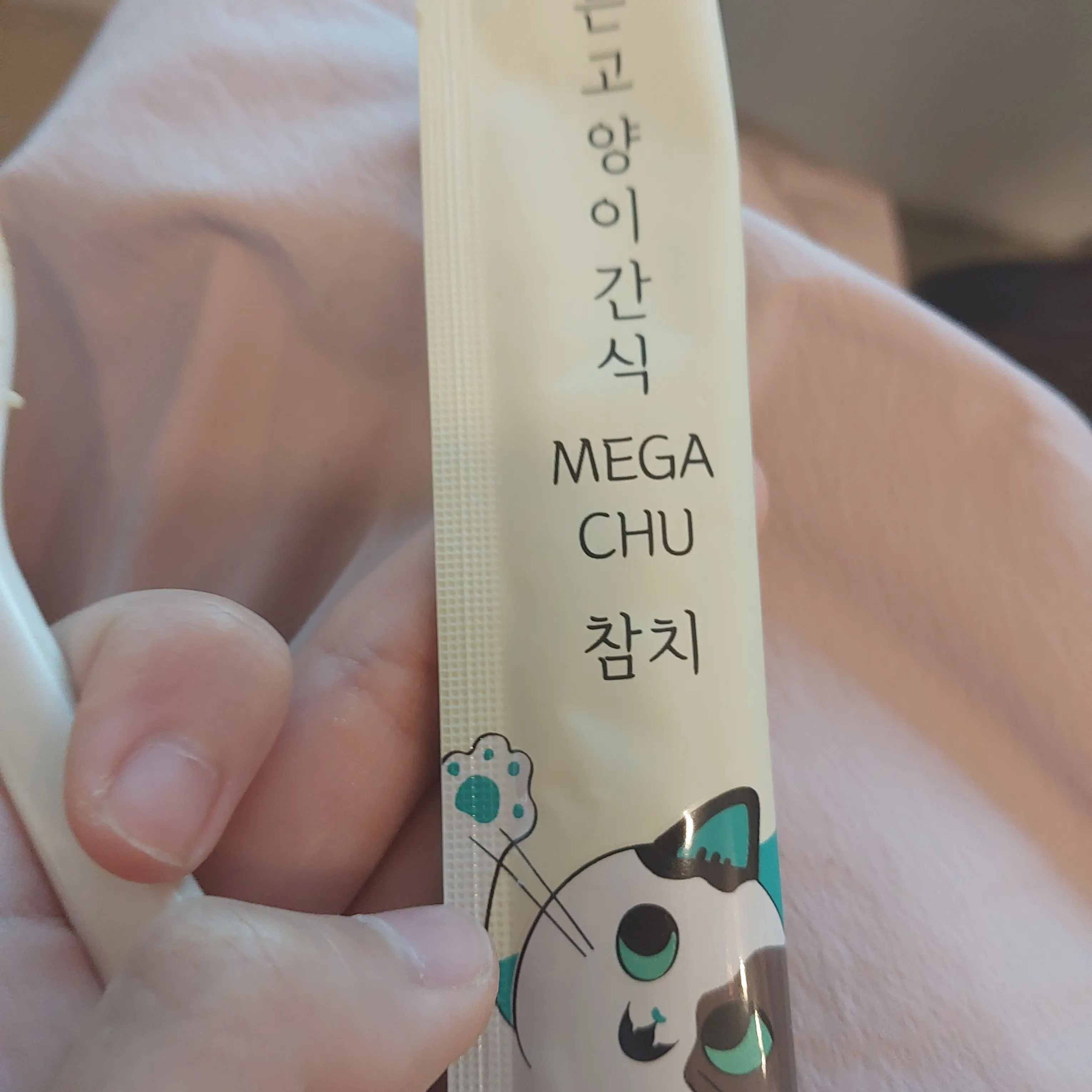 UniqueCache8862의 무이치로와여우