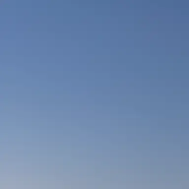 Profile image of 高山拓実