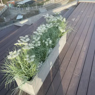 Profile image of 준브