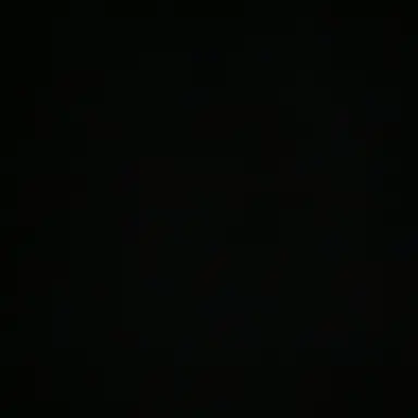 Profile image of 루이카 코이토-16