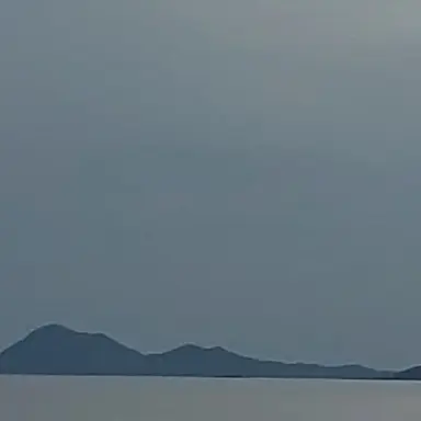 Profile image of 최연정