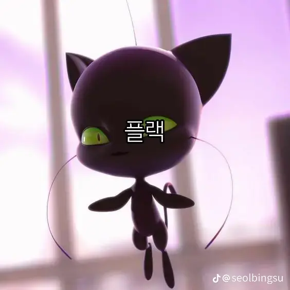 hyoseoo427678의 플랙