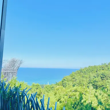 Profile image of 꿈의 기사단 인형들
