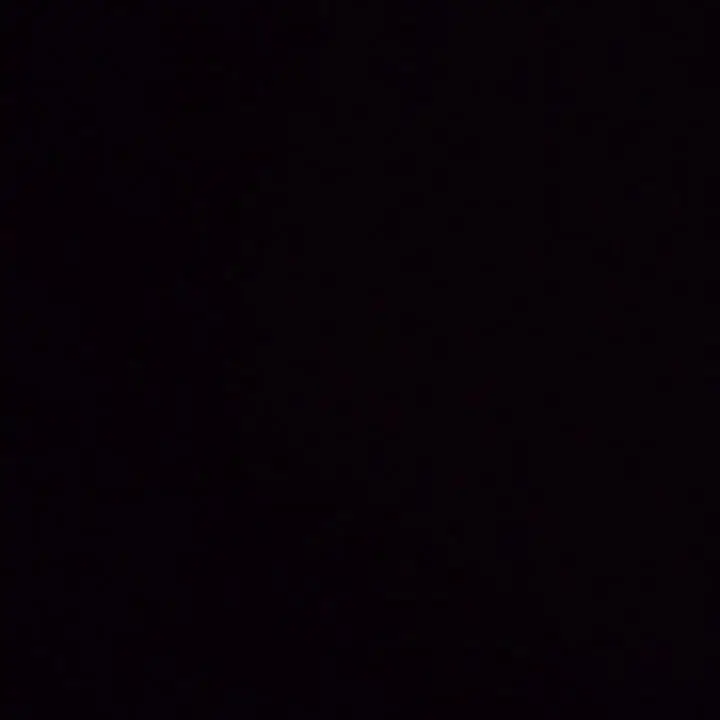 CockyGrebe6601의 冷たい熱帯魚