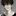 김선우