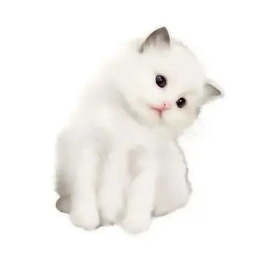 Profile image of 타코
