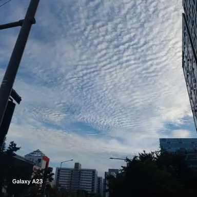 Profile image of 해설자