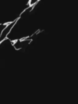 v_o_x의 아가, 왜 이렇게 붙니..