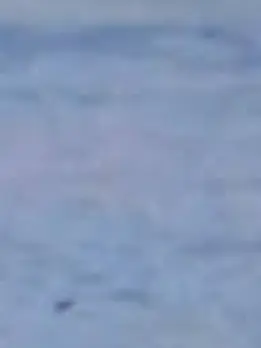 Noe_412_lilac의 いたいのいたいの