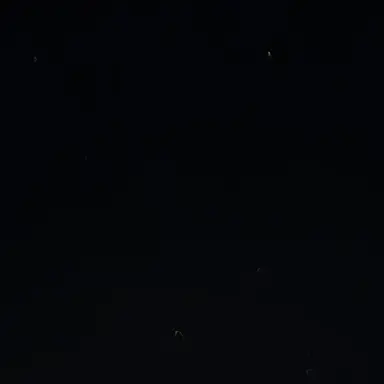 Profile image of 배영웅